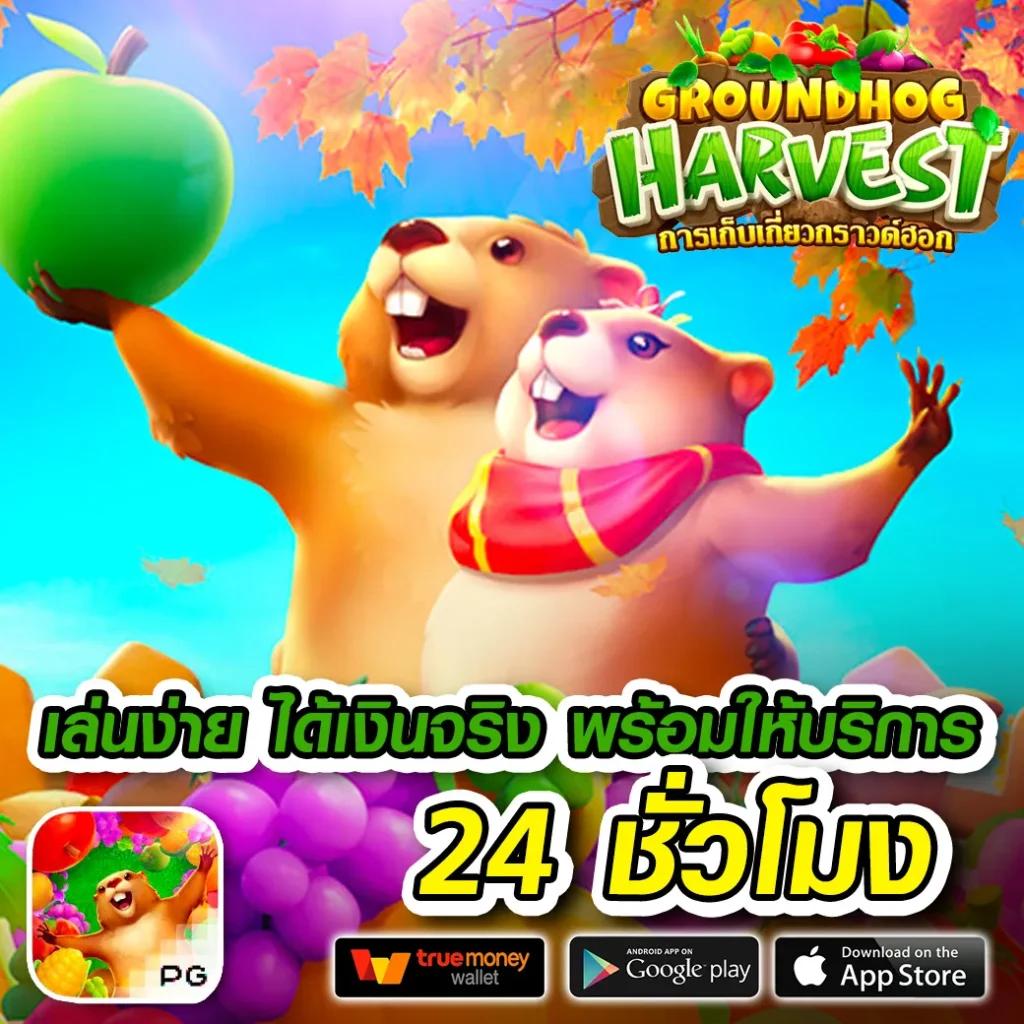 ฟุตบอลวันนี้ คาสิโนครบวงจร มีโปรโมชั่นสุดฮิตต้นปี