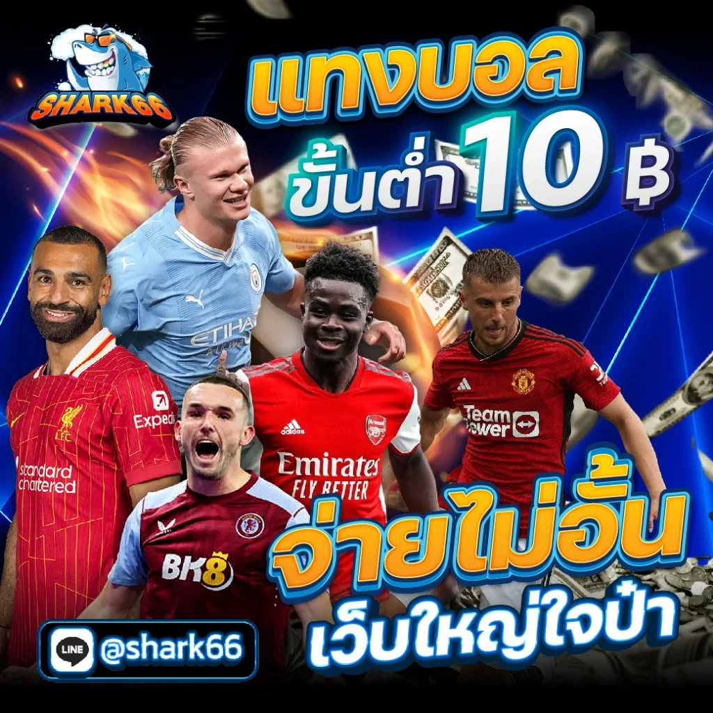 เข้าสู่ระบบ betflik6789 ช่องทางเดิมพันสุดเร้าใจ ครบทุกเกมในไทย